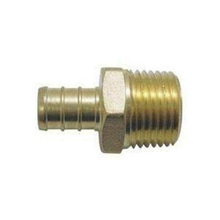 HOUSE 0.75 F1960 x 0.5 in. Male Adapter HO1883387